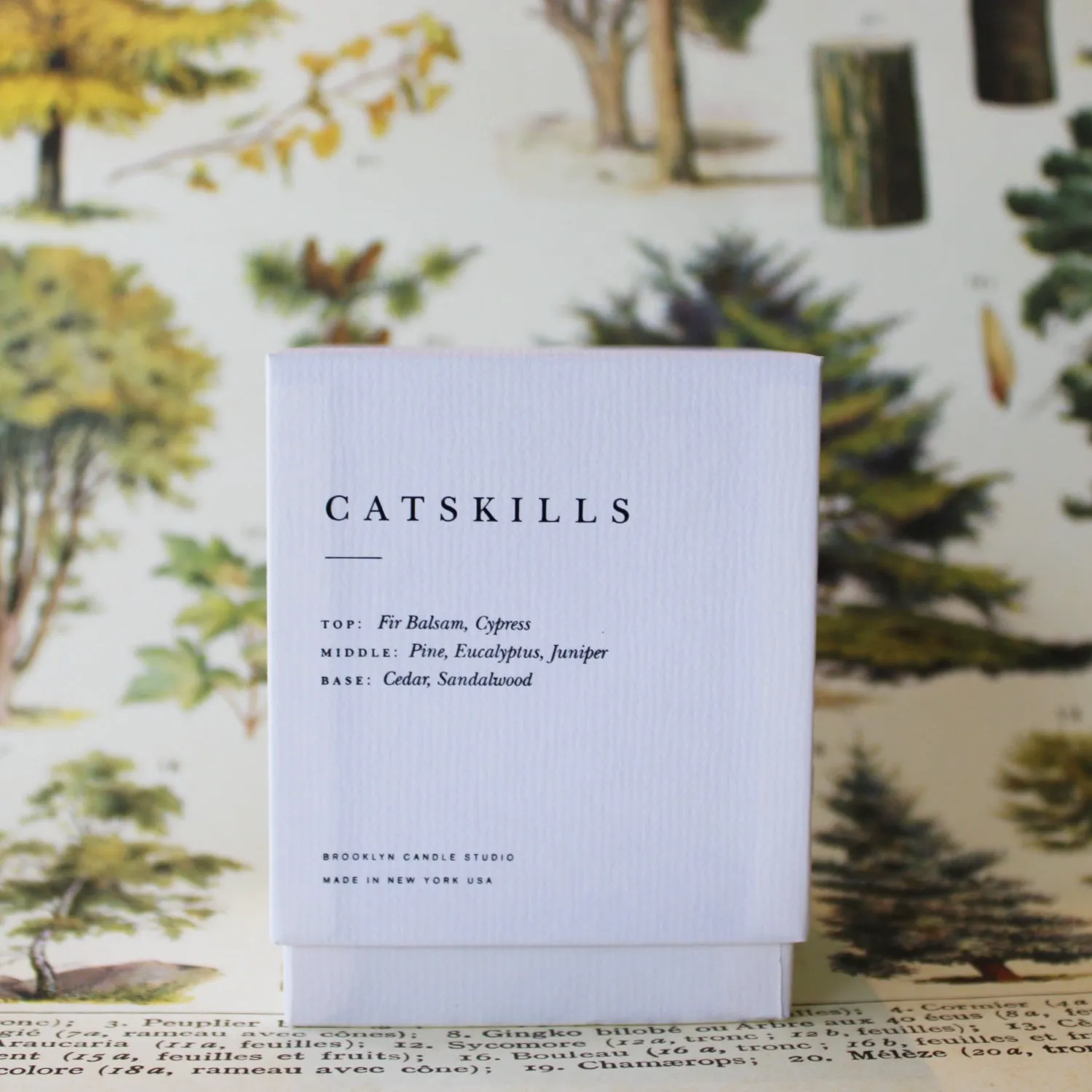 Catskills Escapist Candle